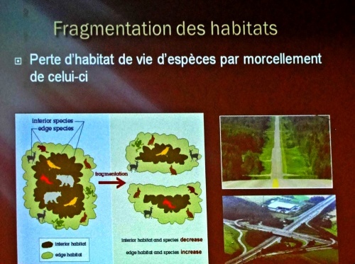 "Pollution lumineuse, impacts sur la faune", une conférence de Julien Taisne  pour l'Association Culturelle Châtillonnaise...