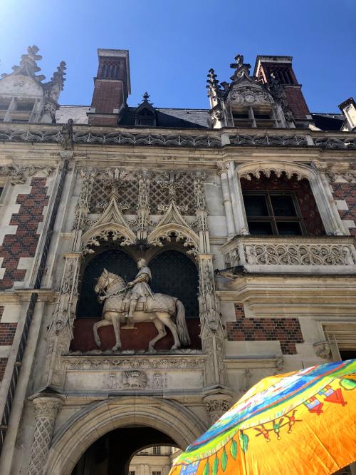 Drôles d'animaux