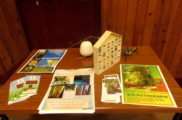 "Sylvothérapie, les bienfaits de l'arbre et de la forêt" une vivifiante conférence de Florence Guérin, initiée par  les Amis d'Aignay et des Alentours