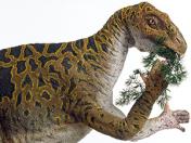 Musée de l’Iguanodon - Bernissart (B)