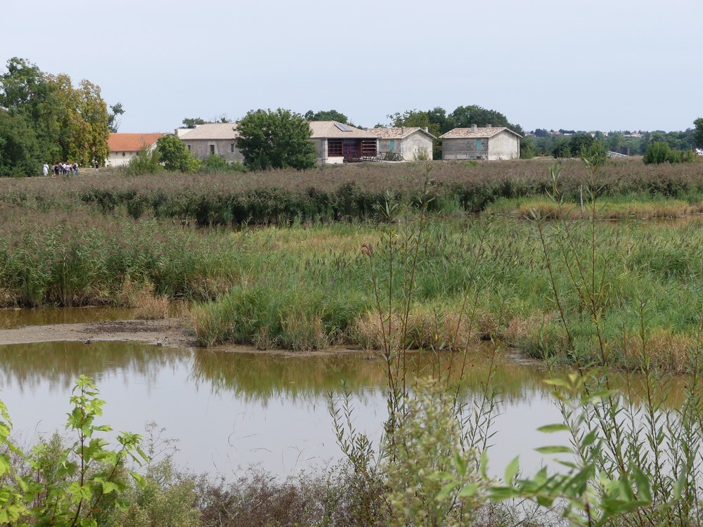 Week-end "Découverte atypique et ludique de Bordeaux" (3/3) : le bateau des Curiosités...