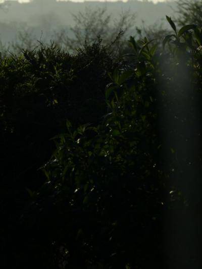 le soleil