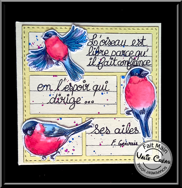 Quand les Oiseaux s'invitent en carte...