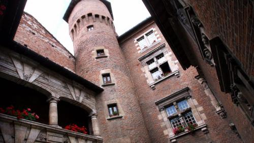 Albi  (Tarn)