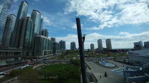 Epic spring weekend in Toronto