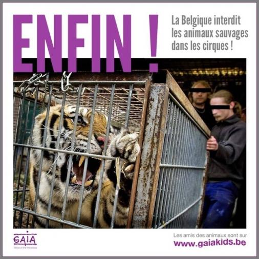 NOS CiRQUES