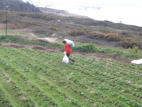 visite-batz-mars-2010 1182