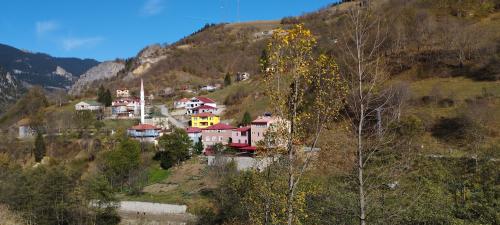 Un peu de TRABZON !