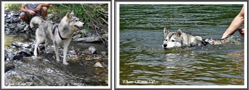 A l'eau ! (11 mai 2013)