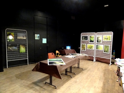 "Le jardinier amateur", l'exposition 2012 des Amis du Canton d'Aignay le Duc