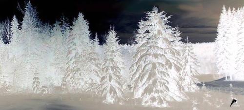 Magie blanche dans le Jura suisse - Échappées belles