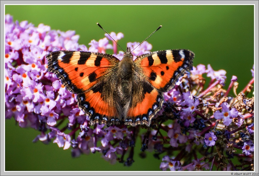 Regard autour de moi