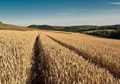 La Hongrie dans l'Europe