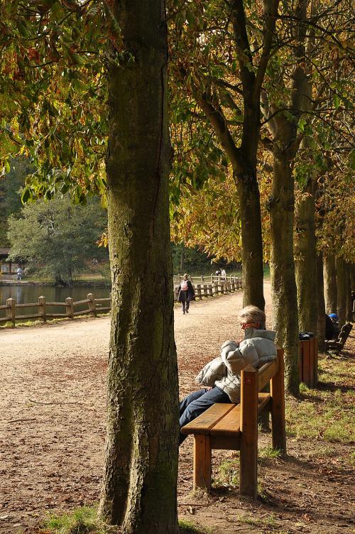 Bois de Saint Cucufa  (Hauts de Seine)