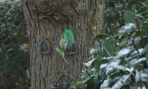 Il a neigé sur Pipiouland