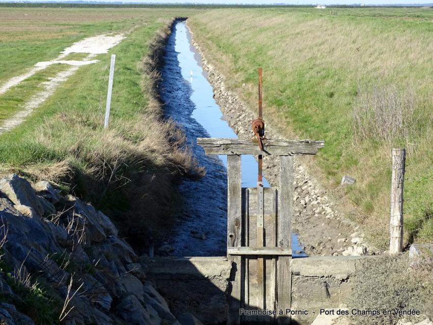 Port des Champs - Bouin - Vendée - 2022