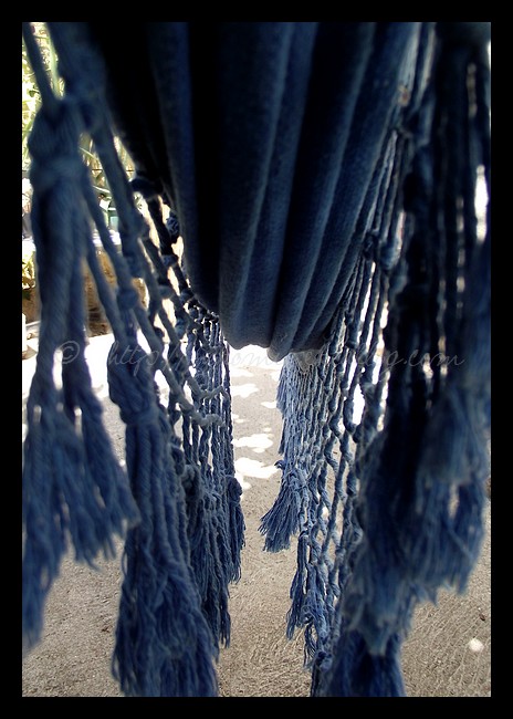 Chevaux... passion