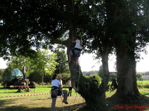 La fête de l'Automne à Leuglay...