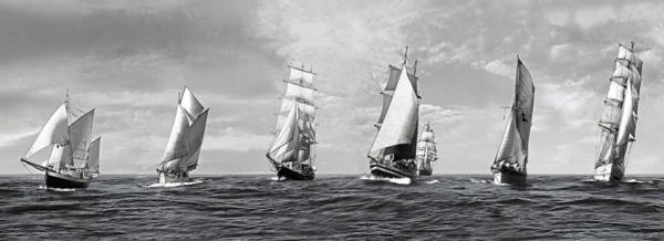 VOEUX  2014