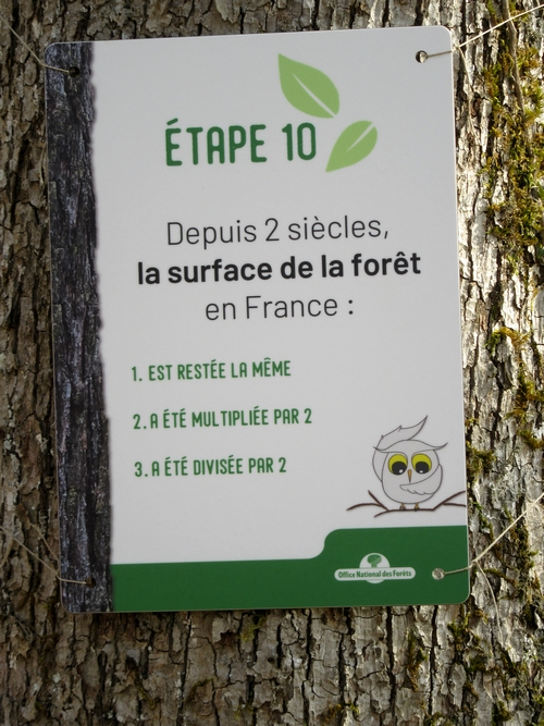 "Vis ma vie de forestier"