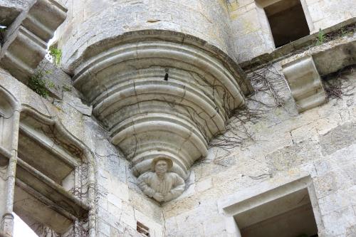 Quelques images du château de Rochefort à Asnières en montagne
