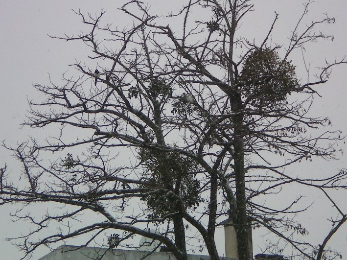 image16.jpg