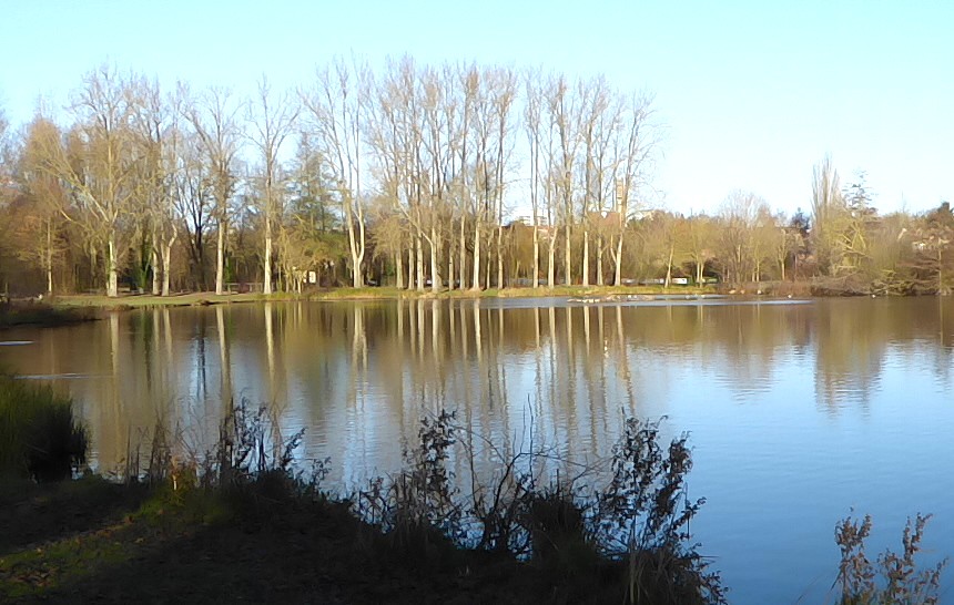 Ma vie et ses surprises !