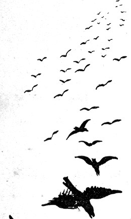 Numériser0015-copie-1