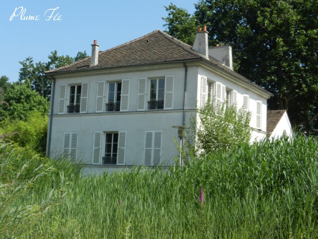 Image12.jpg