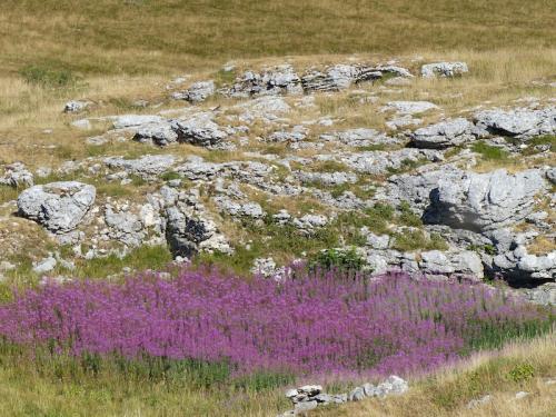 Le Sentier du Karst (Vercors Dromois)
