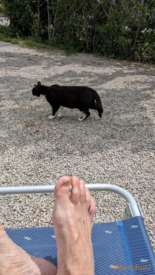 une pause à Villanova