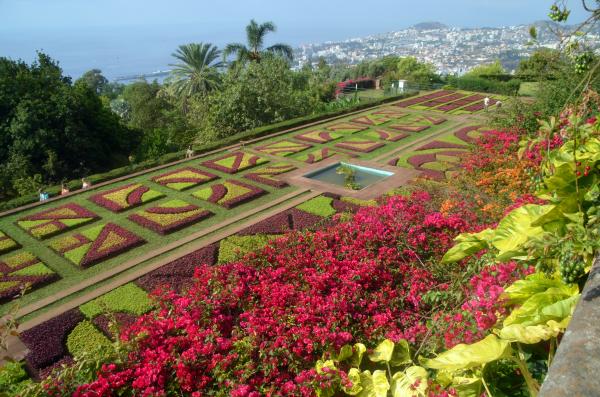 Circuit en étoile à Madère : Funchal, son marché et son jardin botanique