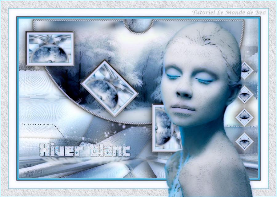 Hiver Blanc