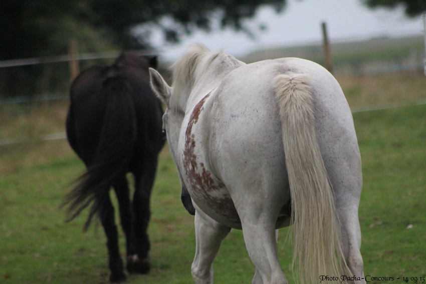 doudou & black 14/09/13
