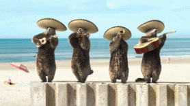 La randonnée du 23 janvier à Cabourg