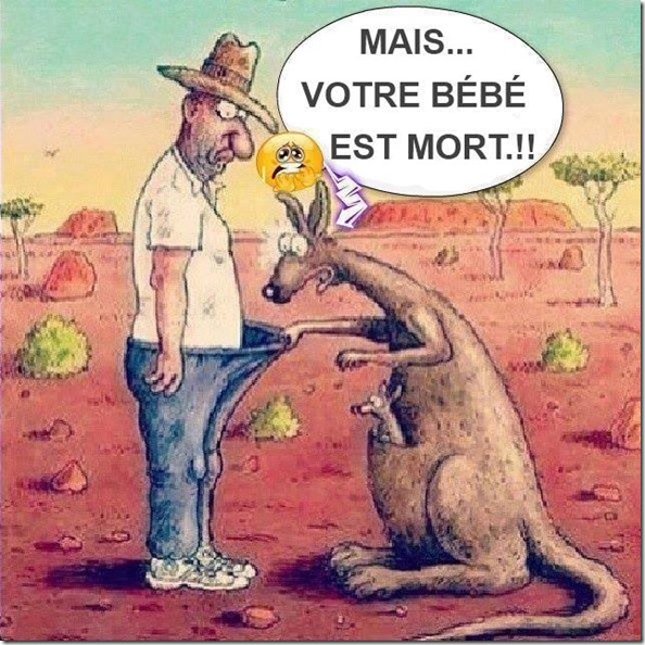 Humour du mardi ... !!!
