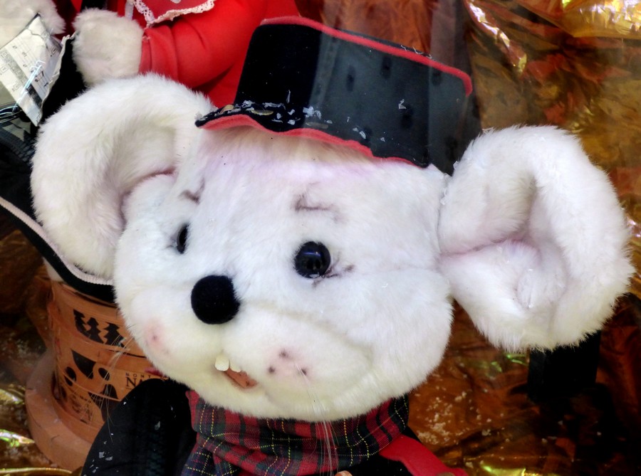 Plus que quelques heures d'attente