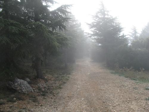 Le GR2013 dans la brume ...