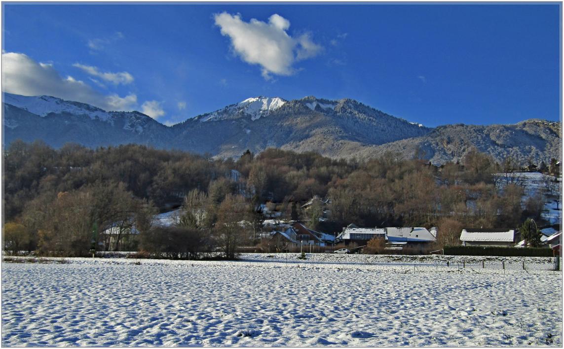 UN TEMPS DE SAISON JANVIER 23