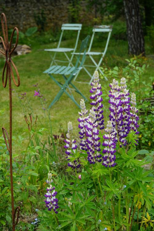 le jardin se fait romantique