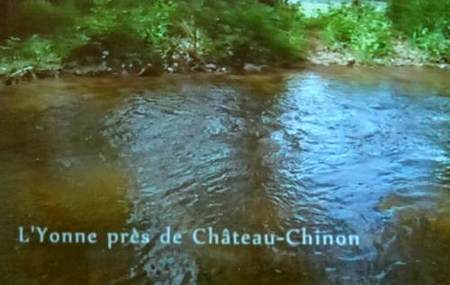 La fête des jardins au château de Montigny sur Aube...