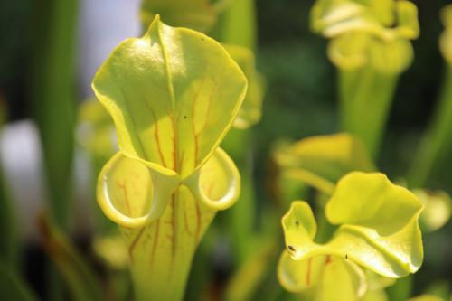 Chambre d'ôtes "Haut-Jardin" à Vignoux-sous-les-Aix