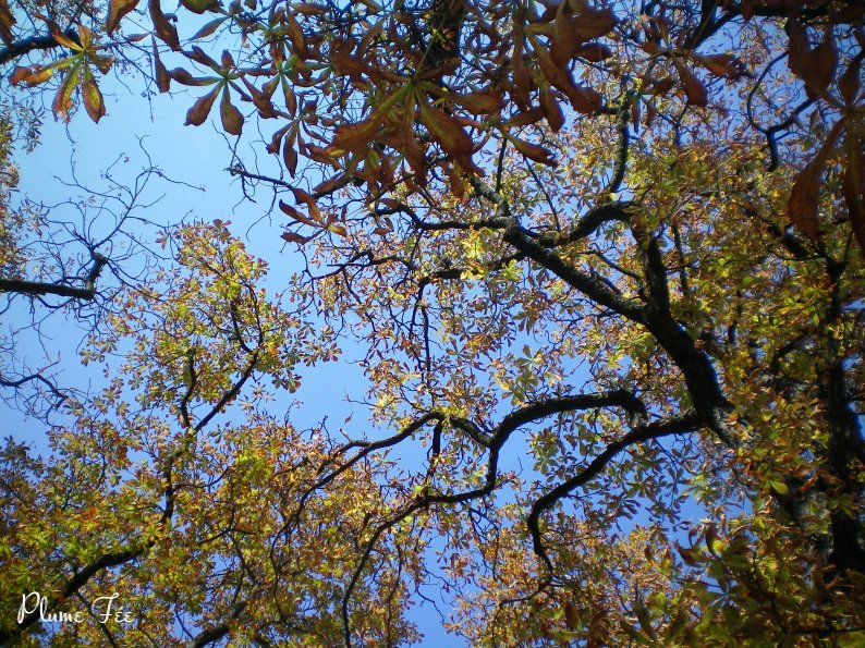 Image003.jpg