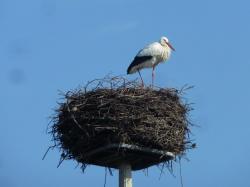 La randonnée du 26 mars à Argences