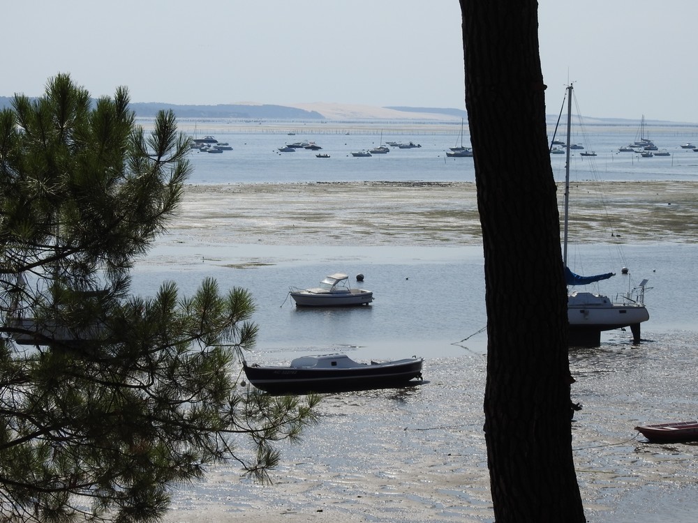 Pique-nique à Petit-Piquey, sur la presqu'île de Lège-Cap-Ferret...