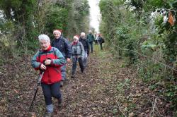 La randonnée du 19 décembre à Avenay