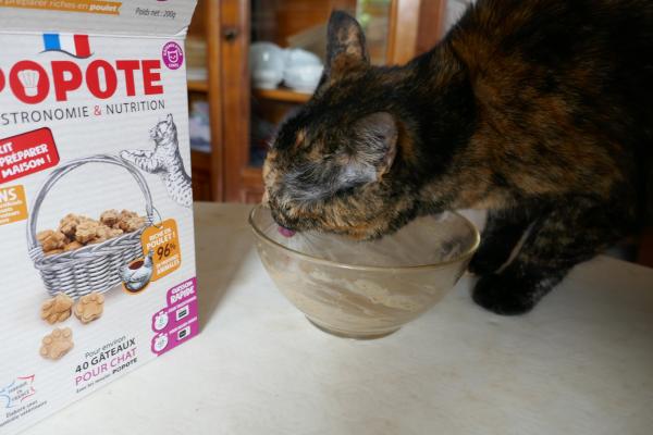 Petits gâteaux pour les chats