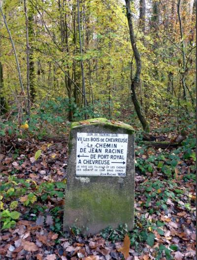 Randonnée autour de Saint-Rémy-lès-Chevreuse avec Jacqueline