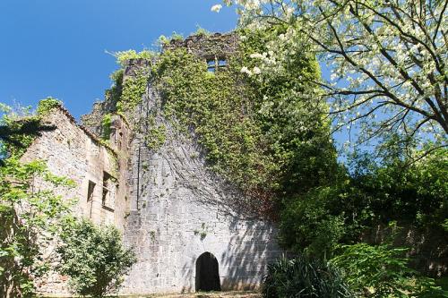 Saint-Pée-sur-Nivelle  (Pyrénées Atlantiques)