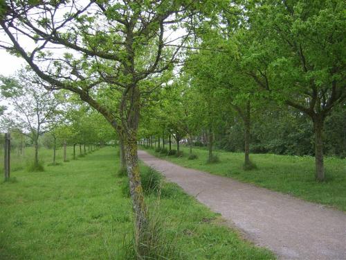 Et si on jouait les prolongations...